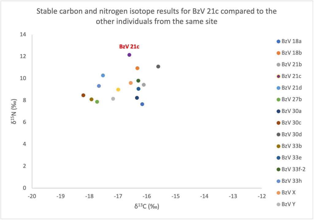Figure 8 Stable carbon and nitrogen isotope results for BzV 21c compared to the other individuals from the same site