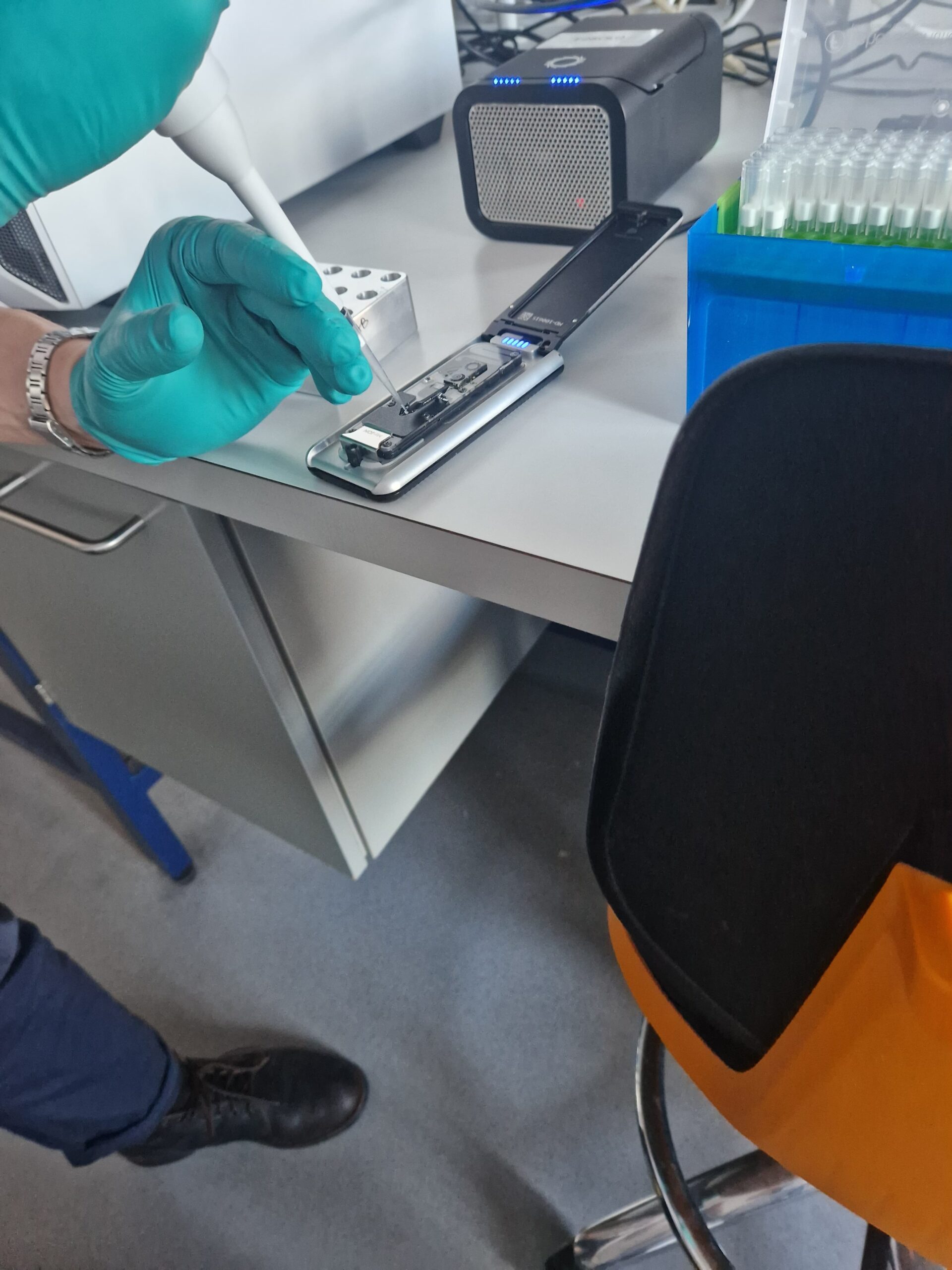 Dubravka – danska 2